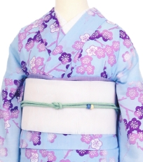 Rental Kimono Examples