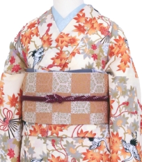 Rental Kimono Examples